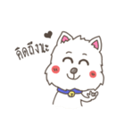 Tao-Hu (Westie Dog)（個別スタンプ：37）