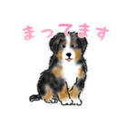 ほのぼのバーニーズ犬（個別スタンプ：13）