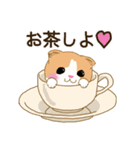 スコさん（個別スタンプ：5）