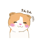 スコさん（個別スタンプ：7）