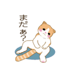スコさん（個別スタンプ：10）