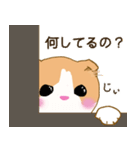 スコさん（個別スタンプ：11）