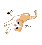 スコさん（個別スタンプ：12）