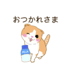 スコさん（個別スタンプ：19）