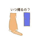 スコさん（個別スタンプ：20）