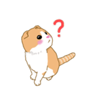 スコさん（個別スタンプ：23）