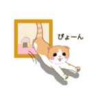 スコさん（個別スタンプ：24）