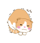 スコさん（個別スタンプ：29）