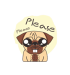 BB The Pug（個別スタンプ：14）