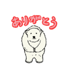 白クマ吉のゆるゆるスタンプ（個別スタンプ：5）