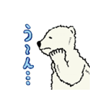 白クマ吉のゆるゆるスタンプ（個別スタンプ：11）