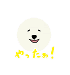 白クマ吉のゆるゆるスタンプ（個別スタンプ：37）