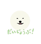 白クマ吉のゆるゆるスタンプ（個別スタンプ：38）