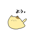 のび～るねこ（個別スタンプ：16）