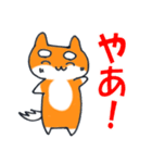 癒しの柴犬まろちゃん（個別スタンプ：33）