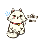 Persian Cute Cat（個別スタンプ：7）