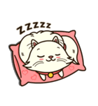 Persian Cute Cat（個別スタンプ：20）