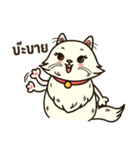 Persian Cute Cat（個別スタンプ：39）