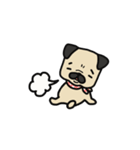 犬のパグ（個別スタンプ：8）