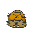 Sock Cat（個別スタンプ：11）