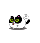 Cat-Nut（個別スタンプ：1）