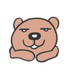 Son Bear（個別スタンプ：17）