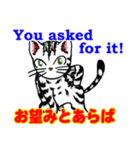 猫で英会話 よく使う英語編vol2（個別スタンプ：27）