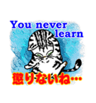 猫で英会話 よく使う英語編vol2（個別スタンプ：33）