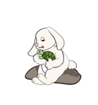 Bunny Rabbit（個別スタンプ：2）