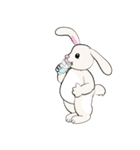 Bunny Rabbit（個別スタンプ：8）