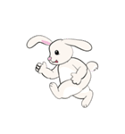 Bunny Rabbit（個別スタンプ：19）