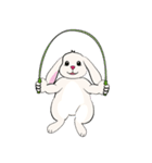 Bunny Rabbit（個別スタンプ：20）