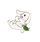 Bunny Rabbit（個別スタンプ：21）