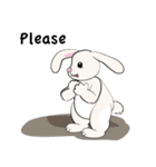 Bunny Rabbit（個別スタンプ：26）