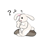 Bunny Rabbit（個別スタンプ：27）