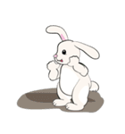 Bunny Rabbit（個別スタンプ：29）