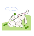 Bunny Rabbit（個別スタンプ：30）