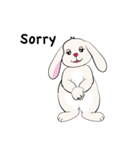 Bunny Rabbit（個別スタンプ：34）