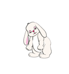 Bunny Rabbit（個別スタンプ：37）