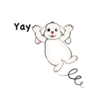 Bunny Rabbit（個別スタンプ：40）