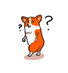 Corgi INU part2 -International（個別スタンプ：11）