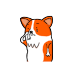 Corgi INU part2 -International（個別スタンプ：14）