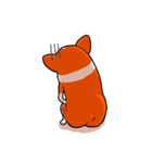 Corgi INU part2 -International（個別スタンプ：15）