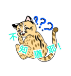 cute Leopard Cat.（個別スタンプ：7）