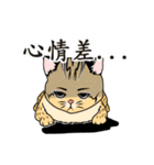 cute Leopard Cat.（個別スタンプ：8）