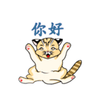 cute Leopard Cat.（個別スタンプ：9）