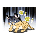 cute Leopard Cat.（個別スタンプ：26）