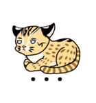 cute Leopard Cat.（個別スタンプ：33）