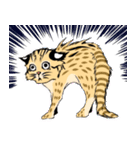 cute Leopard Cat.（個別スタンプ：38）