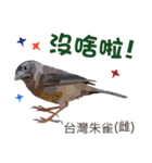 Taiwan wild bird series_2 by Gerald Her（個別スタンプ：32）